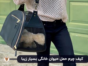 کیف حمل حیوانات خانگی