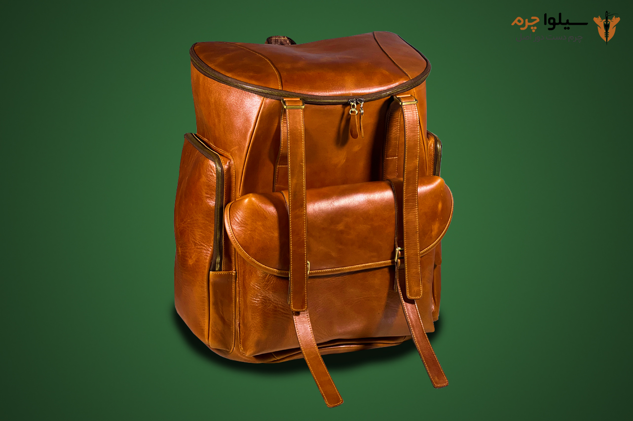 silva leather backbag