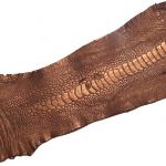 چرم شتر مرغ